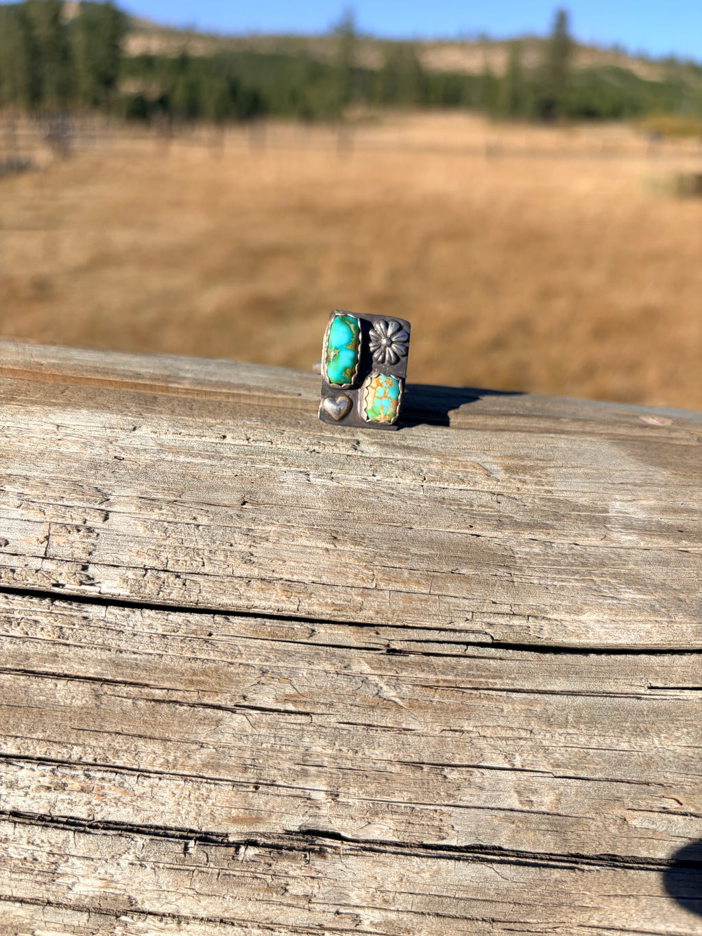 Adjustable Sonoran Mountain Ring