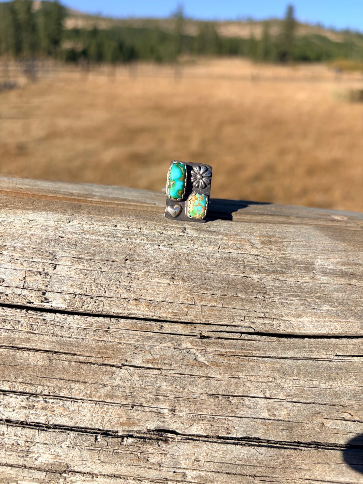Adjustable Sonoran Mountain Ring