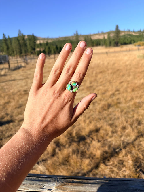 Adjustable Sonoran Mountain Cluster Ring