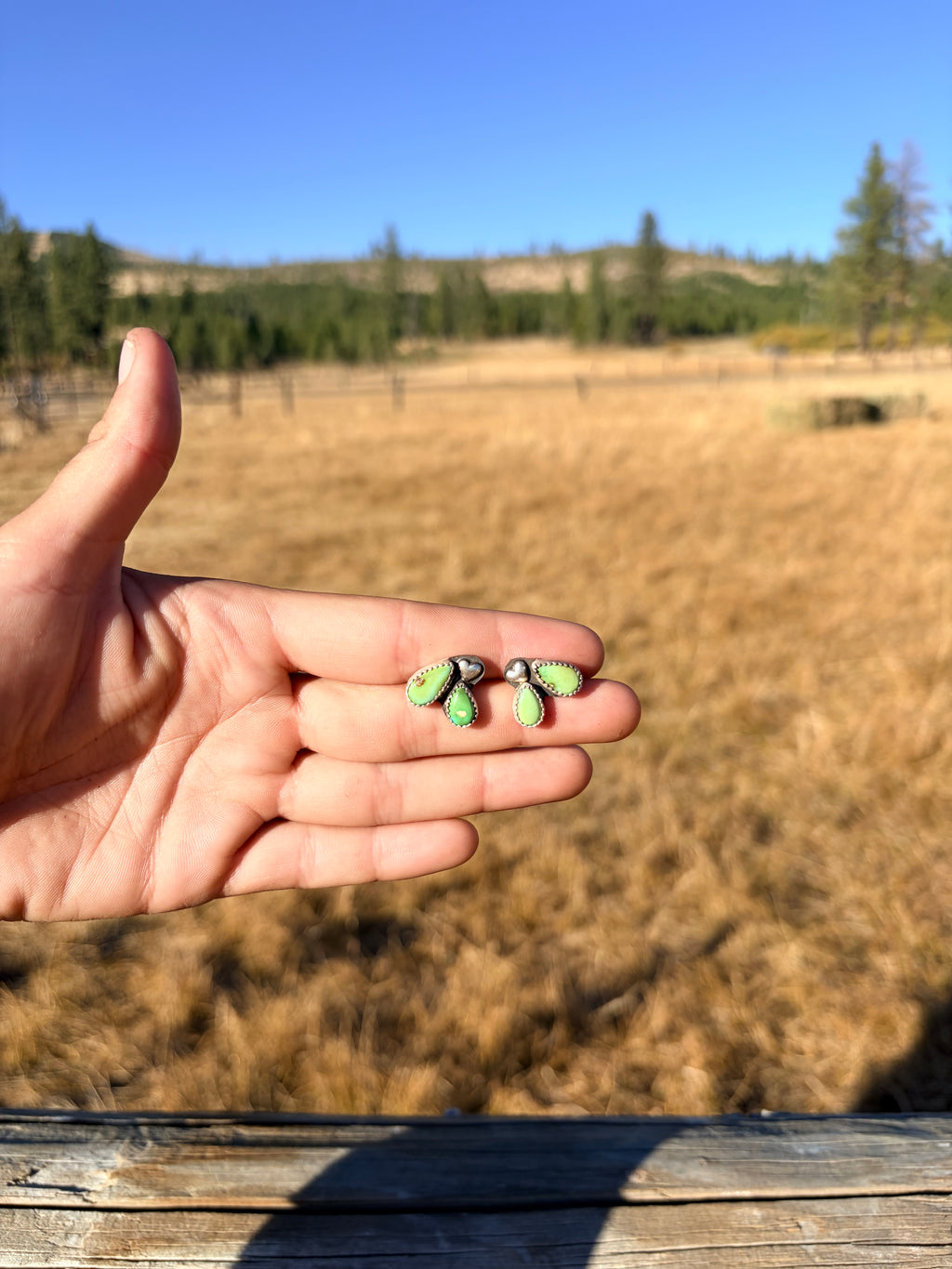 Sonoran Mountain Earrings
