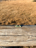 Sonoran Mountain Earrings