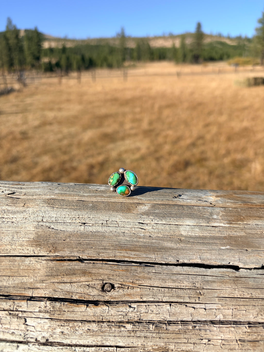 Adjustable Sonoran Mountain Cluster Ring
